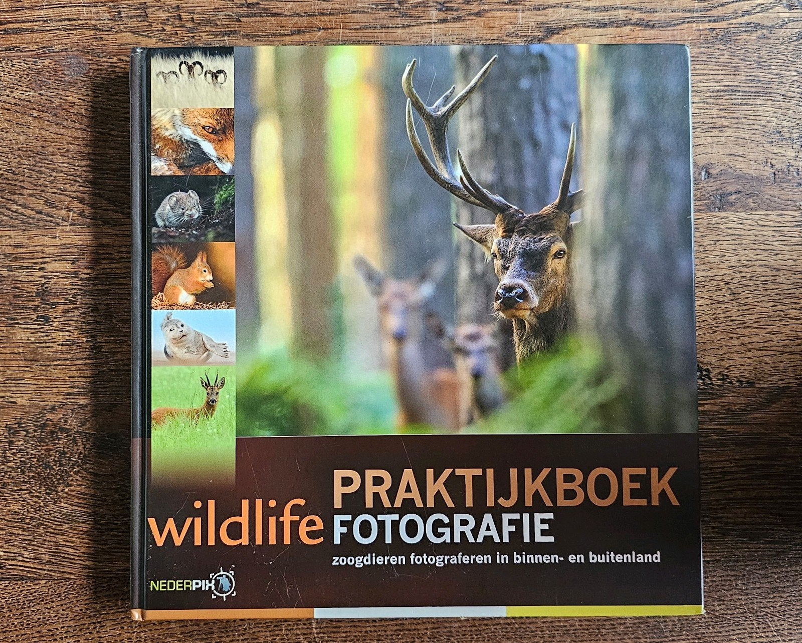 Praktijkboek wildlife fotografie Birdpix, Ophalen of Verzenden, Zo goed als nieuw, Natuur algemeen, Birdpix
