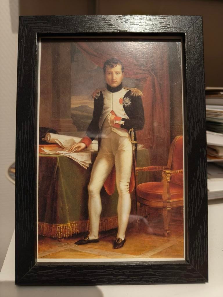 Napoleon, Ophalen of Verzenden, Landmacht, Nederland, Foto of Poster