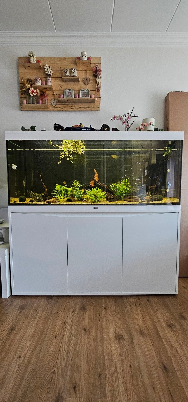 aquatlantis volga 450, Ophalen, Gevuld zoetwateraquarium