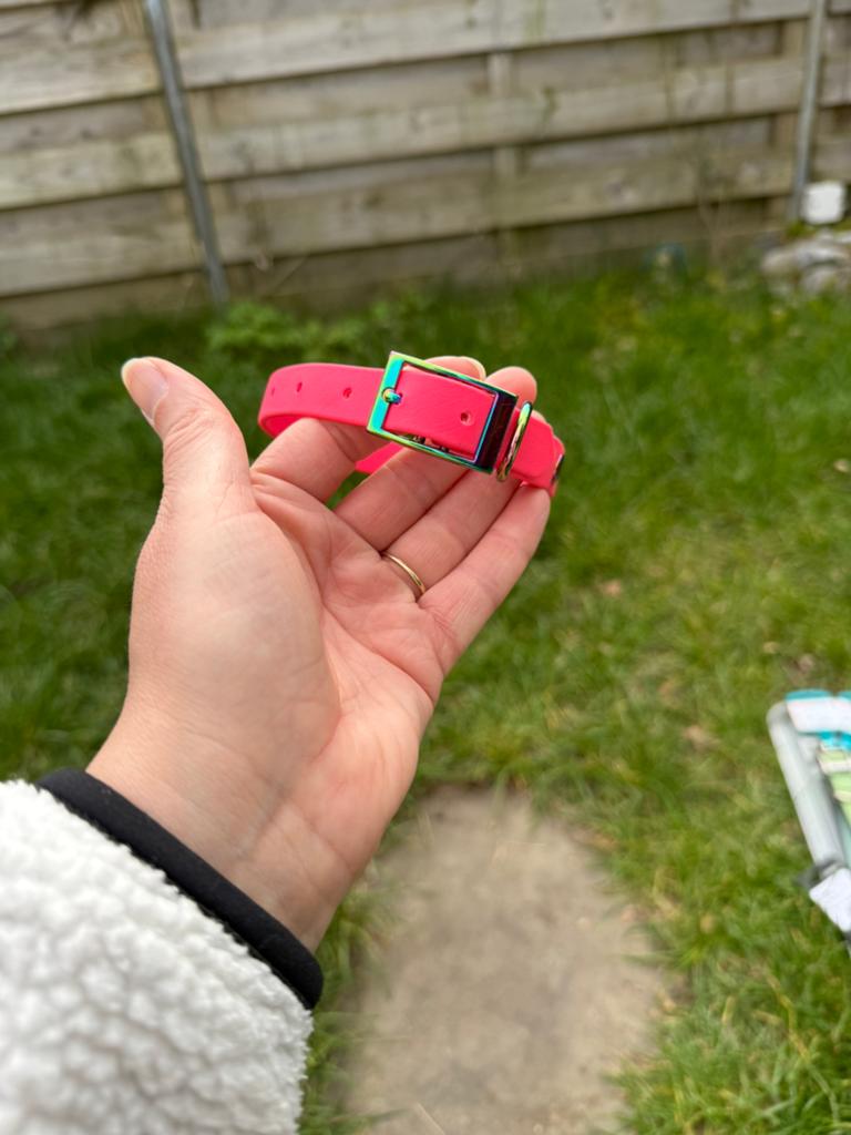 Roze halsband biothane, Ophalen of Verzenden, Nieuw