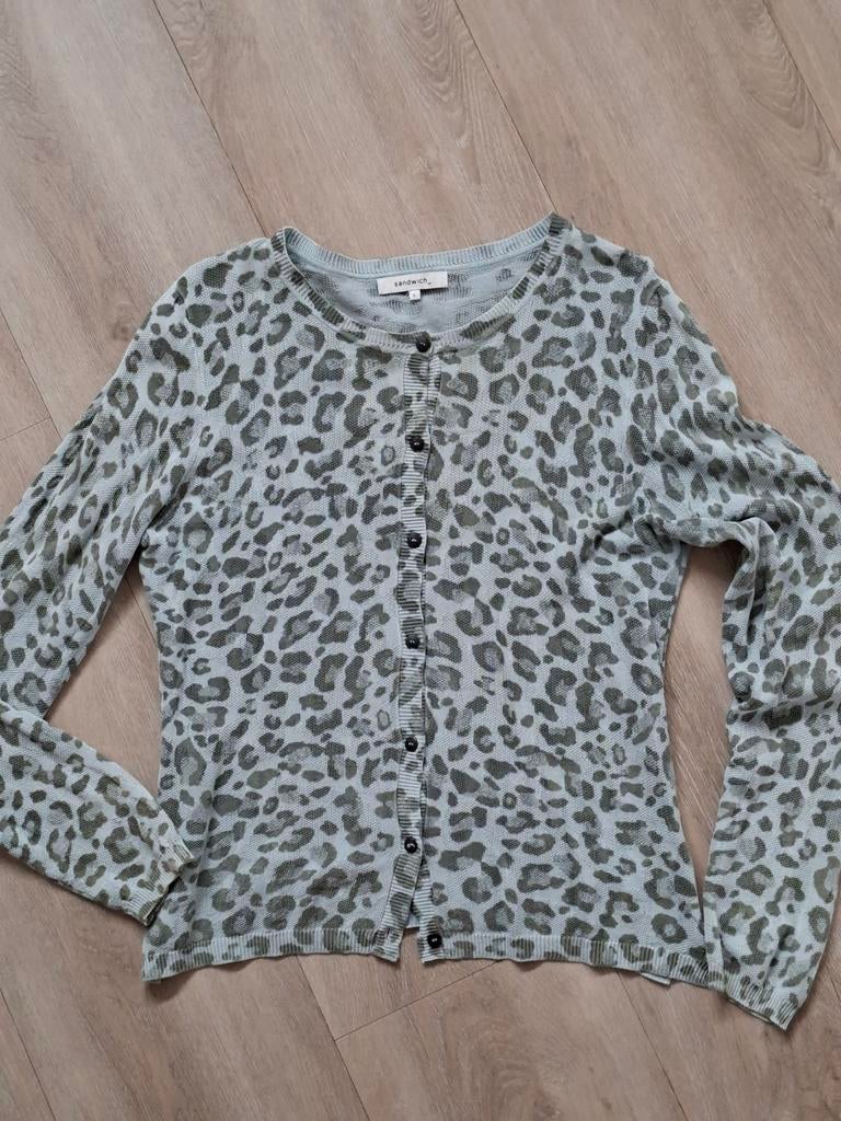 Super mooi vestje zgan, Maat 42/44 (L), Ophalen of Verzenden, Zo goed als nieuw, Grijs