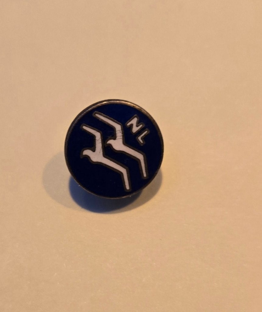 Spelde zweefvlieger, Verzamelen, Speldjes, Pins en Buttons, Verzenden, Zo goed als nieuw, Overige onderwerpen, Speldje of Pin