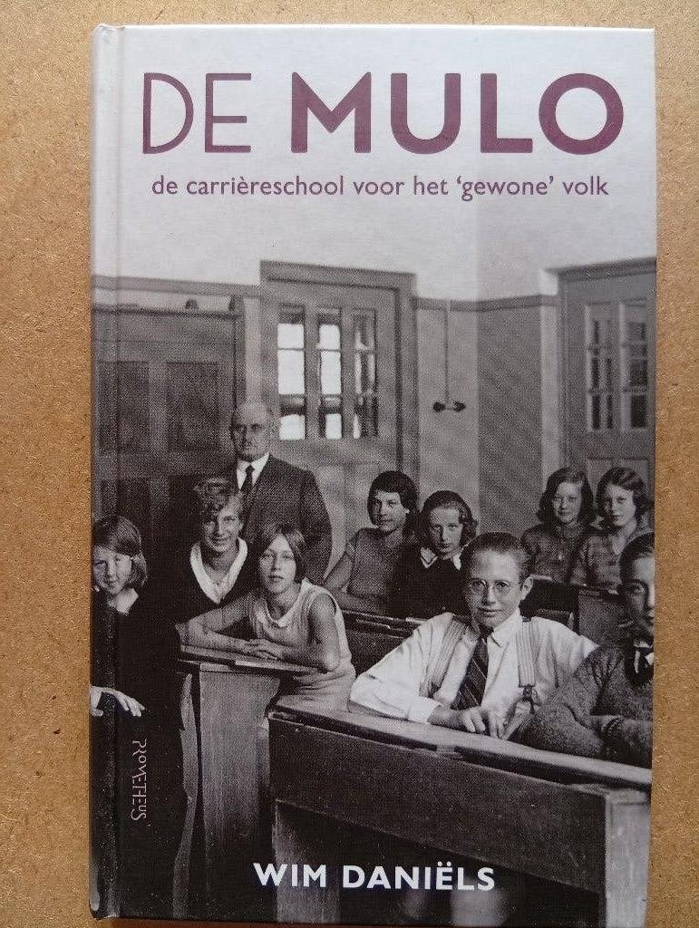 Wim Daniëls - De Mulo, 20e eeuw of later, Wim Daniëls, Ophalen of Verzenden, Zo goed als nieuw