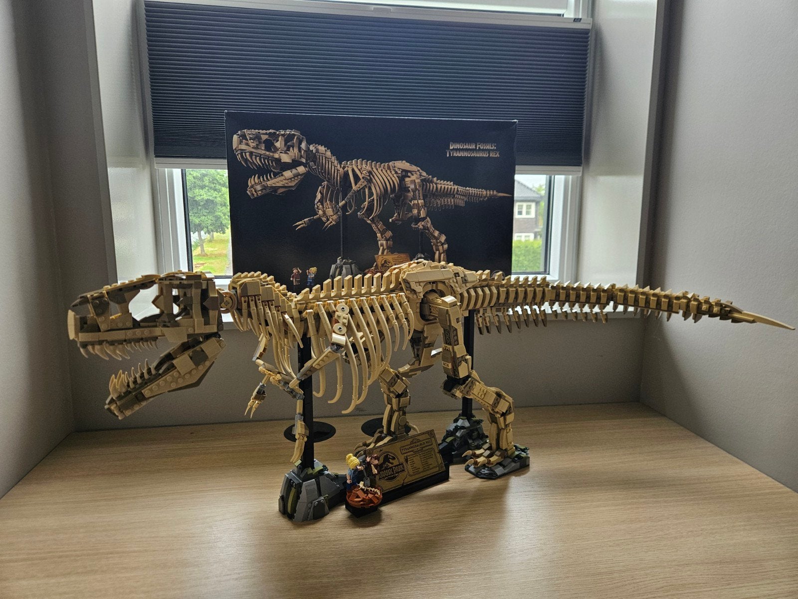 LEGO Ideas 21320 Dinosaurusfossielen T-Rex Skelet, Ophalen of Verzenden, Zo goed als nieuw, Overige merken