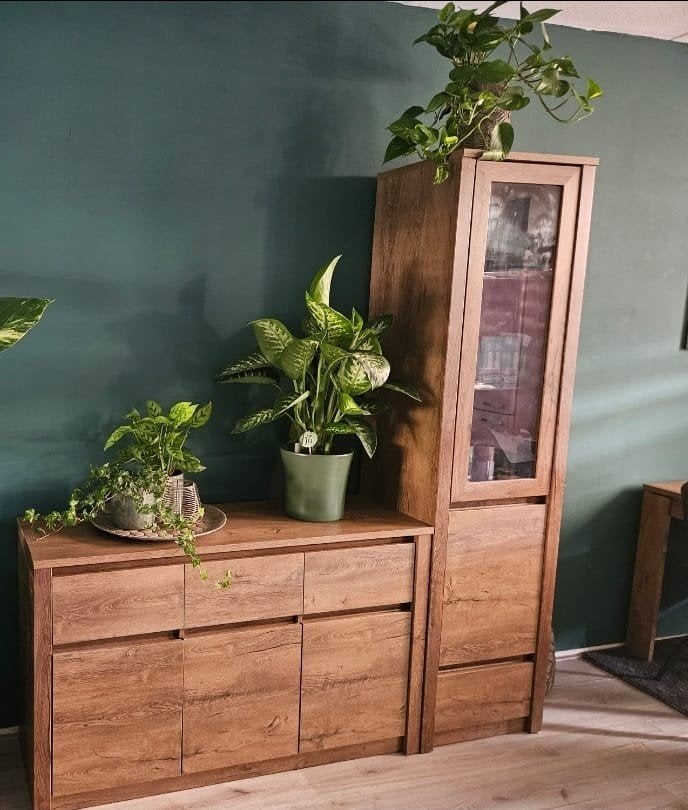 Vitrinekast en Dressoir - Houten Set, Ophalen, Gebruikt, Modern, 25 tot 50 cm