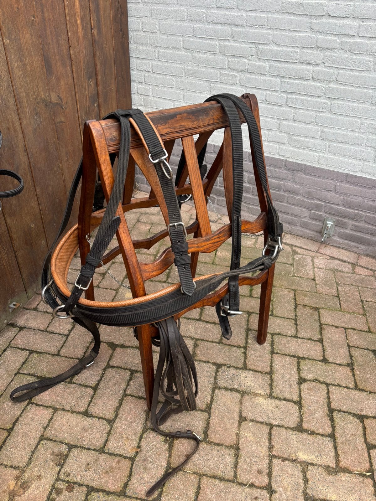 Ideal enkelspan tuig cob, Ideal Equestrian, Overige disciplines, Meerkleurig, Ophalen of Verzenden