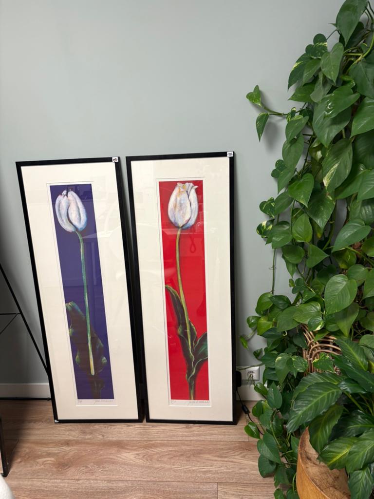 Litho s Tulp of Amarylles van Juul Kortekaas, Ophalen