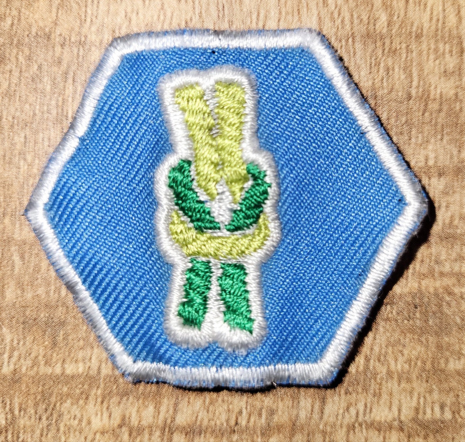Scouting Insigne Badge "Knopen", Ophalen of Verzenden, Gebruikt, Embleem, Speld of Insigne