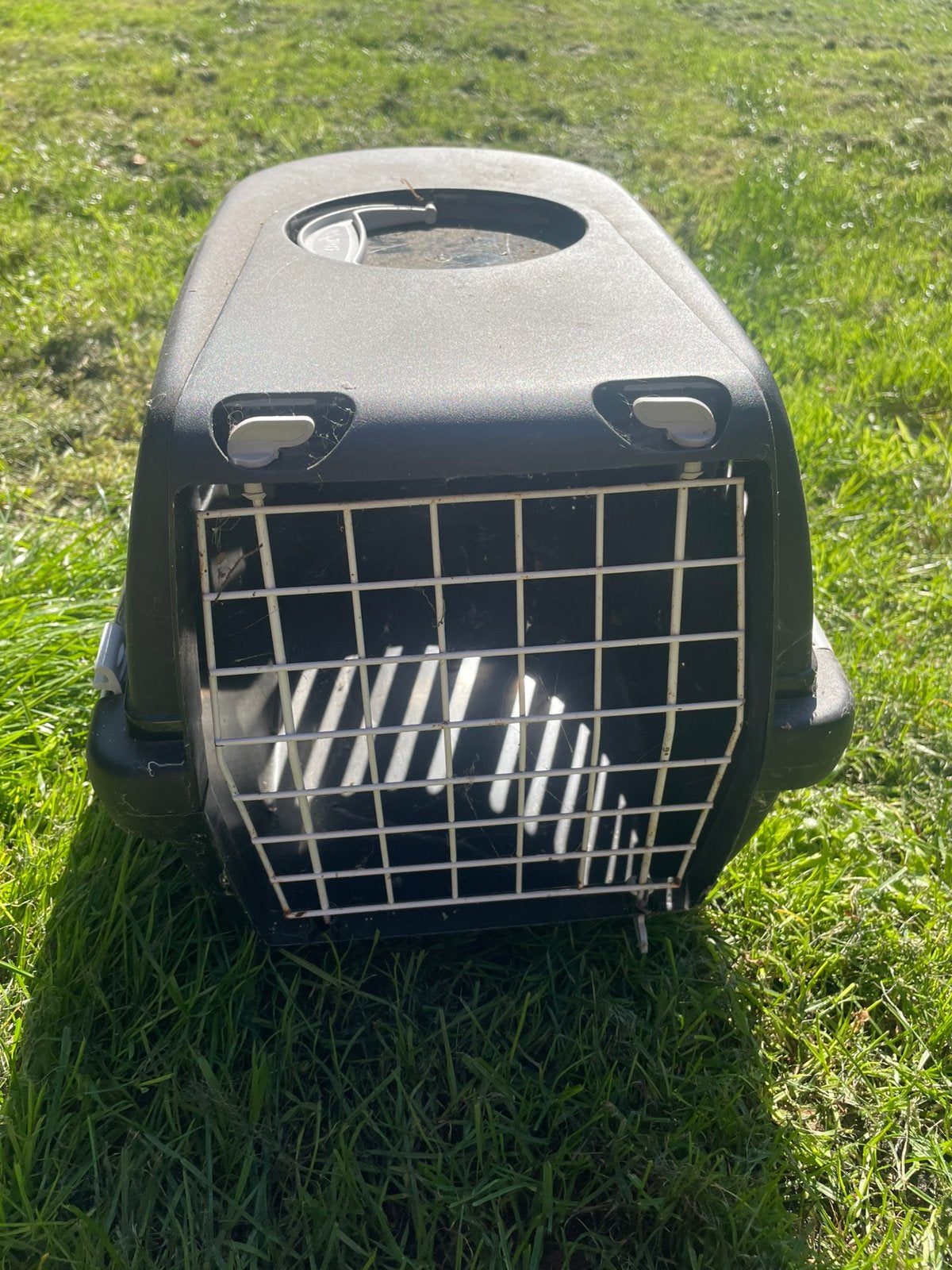 Reismand, Dieren en Toebehoren, Ophalen, Gebruikt