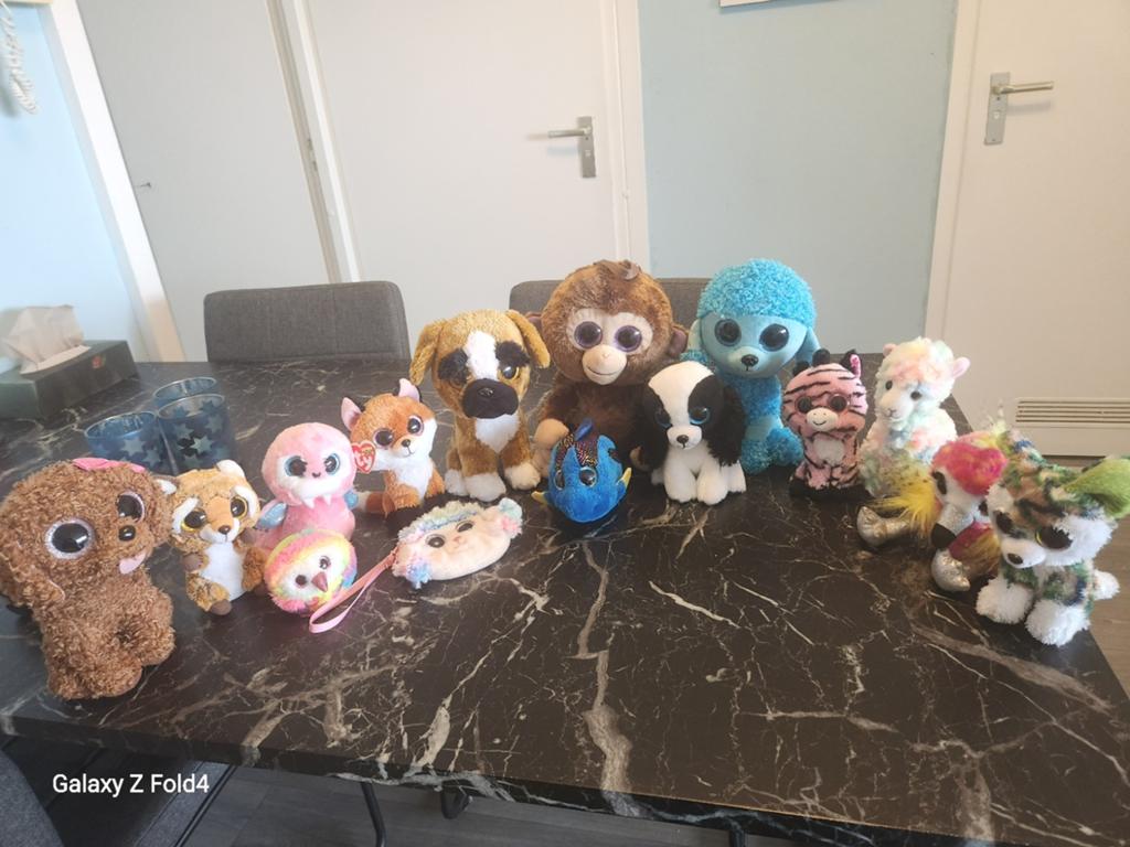 Ty  knuffels 15 stuks ophalen delft, Kinderen en Baby's, Ophalen, Met label, Hond, Zo goed als nieuw