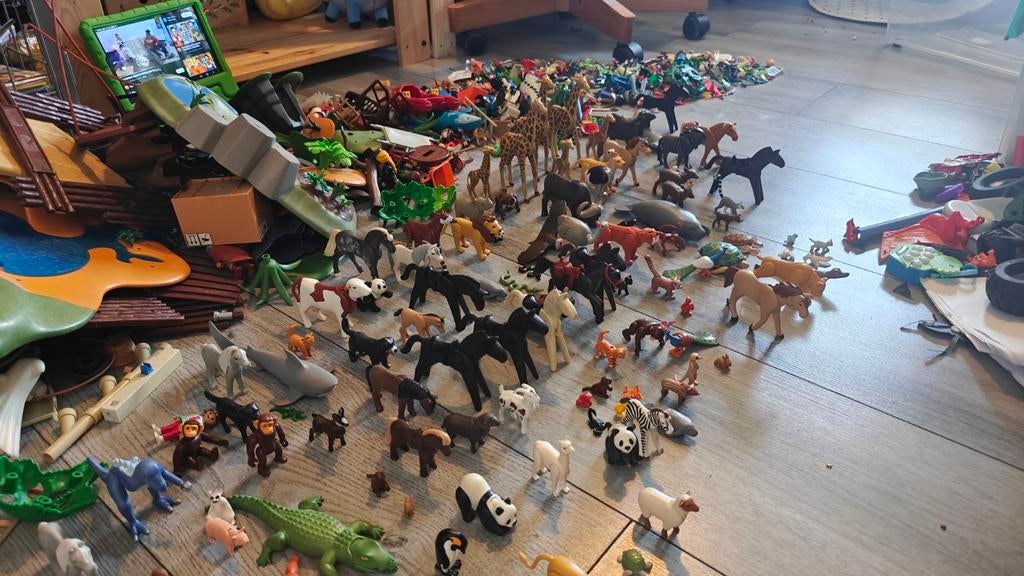 Playmobil grote set, Ophalen of Verzenden, Zo goed als nieuw, Complete set