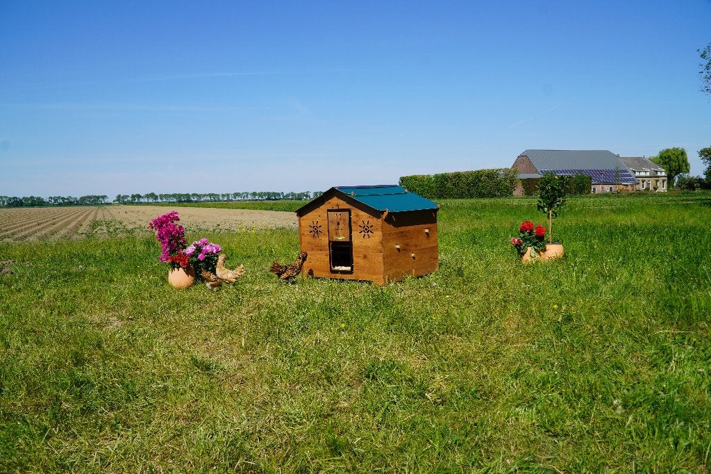 €300 Korting! Trespa Kippenhok Chalet 2XL - Cucciolotta, Ophalen of Verzenden, Nieuw, Kippenhok of Kippenren
