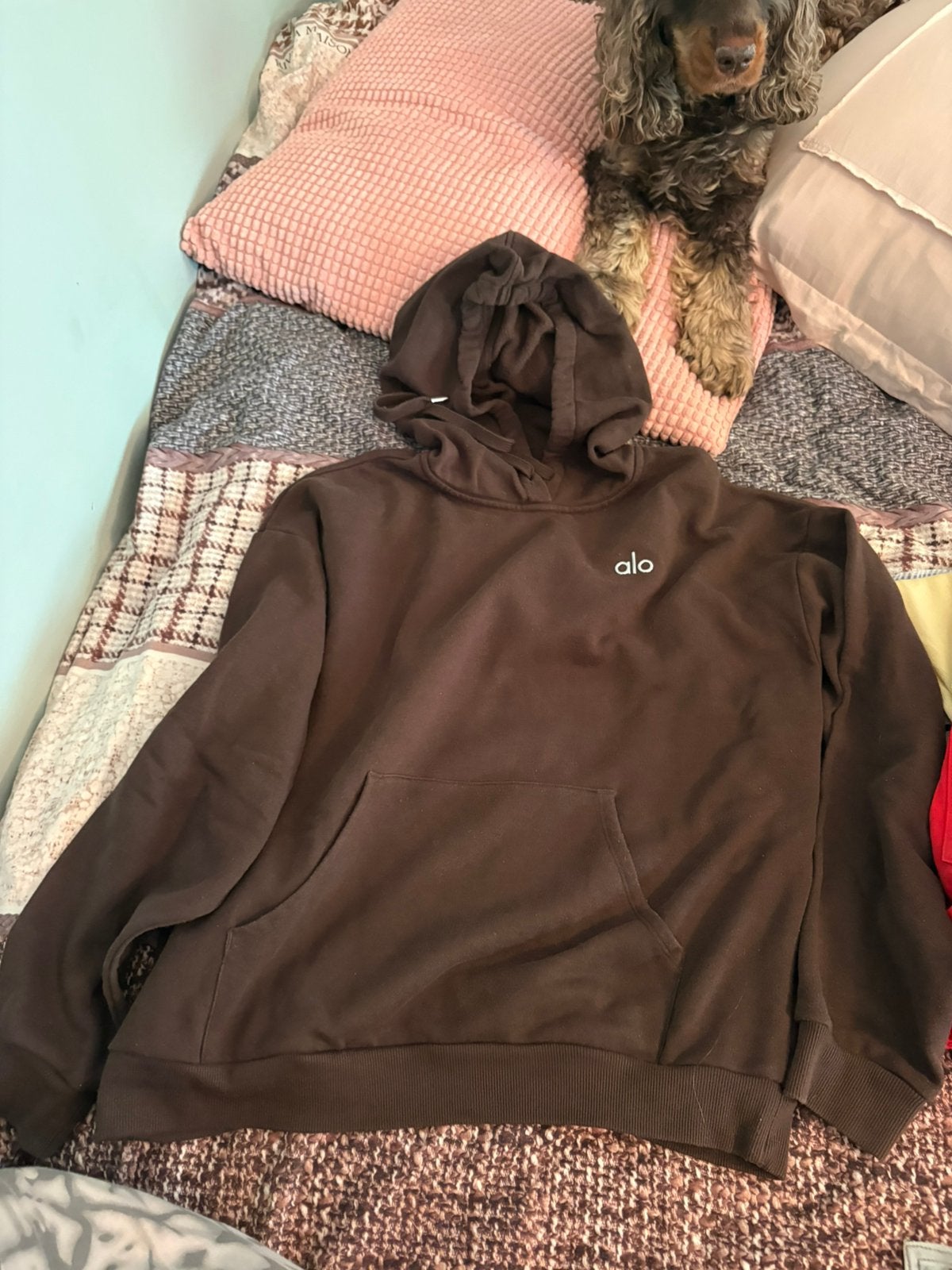 Alo hoodie espresso, Kleding | Heren, Truien en Vesten, Ophalen of Verzenden, Zo goed als nieuw