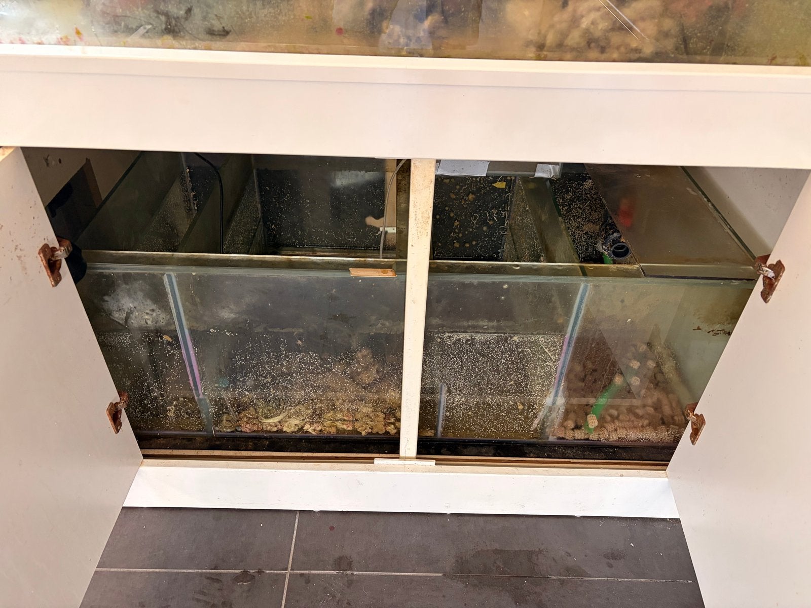 Leeg zeeaquarium, Ophalen, Leeg aquarium