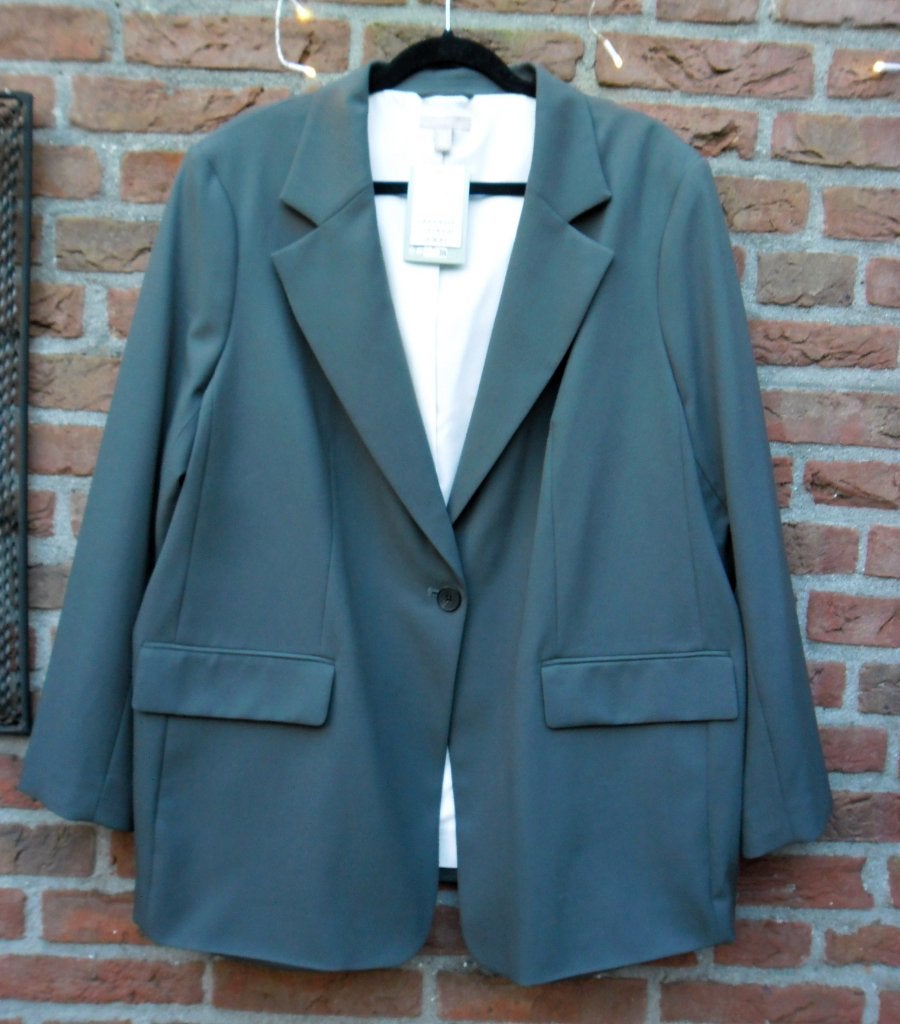 Nieuwe H&M grijze gevoerde blazer maat Xl, H&M, Maat 46/48 (XL) of groter, Nieuw, Ophalen of Verzenden
