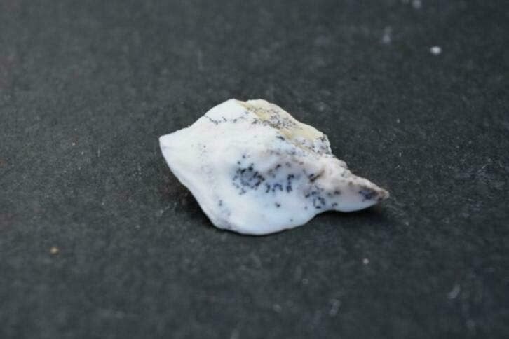 Dendriet Opaal (nr 3 ), Nieuw, Ophalen of Verzenden, Nvt, Nvt