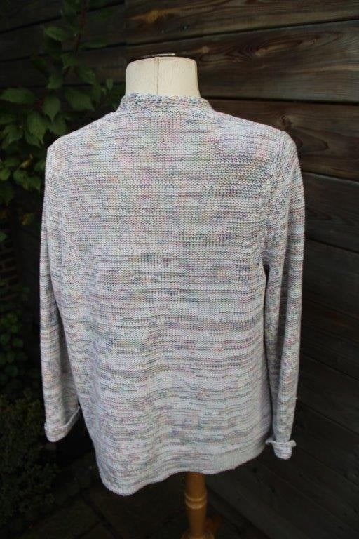 Vest gekleurd Gerry Weber mt L Vaste prijs OPRUIMING, Kleding | Dames, Overige kleuren, Maat 42/44 (L), Ophalen of Verzenden, Zo goed als nieuw