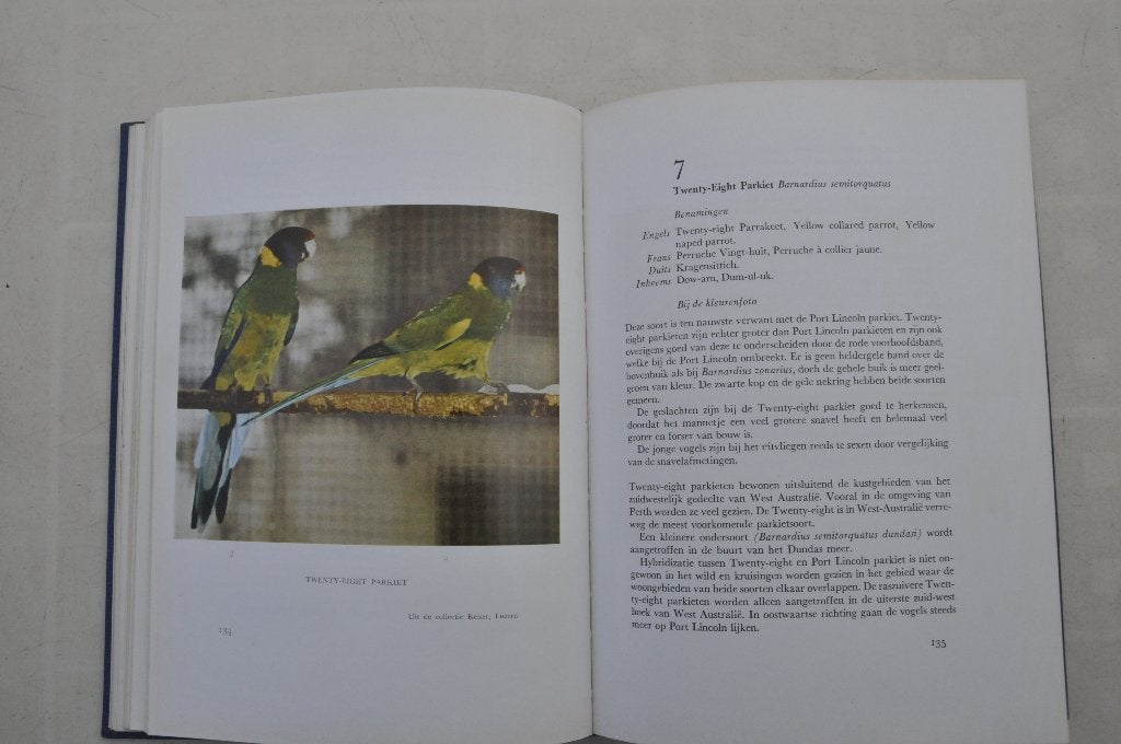 Australische parkieten Dr. H.D. Groen, Gelezen, Ophalen of Verzenden, Vogels, Dr. H.D. Groen