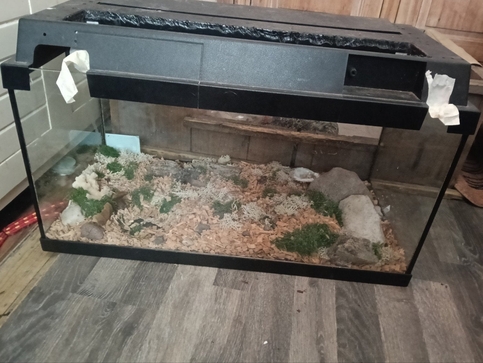 terrarium GRATIS., Ophalen, Leeg aquarium