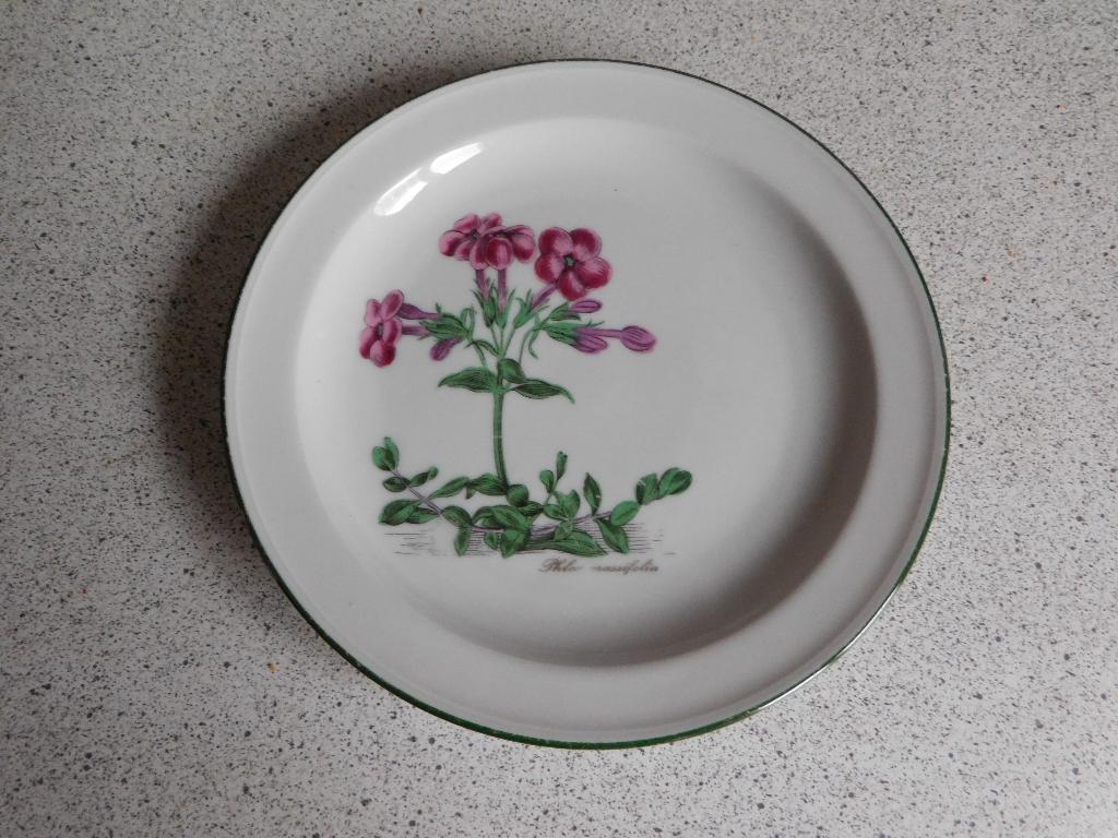 Bord 19 cm. Renate Phlox Seltmann Weiden Bavaria, Ophalen of Verzenden
