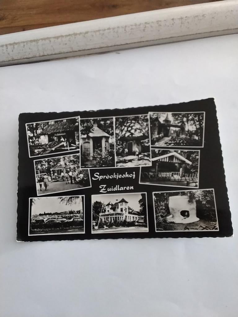 ZUIDLAREN. SPROOKJES BOS. 1962, Ophalen of Verzenden, 1960 tot 1980