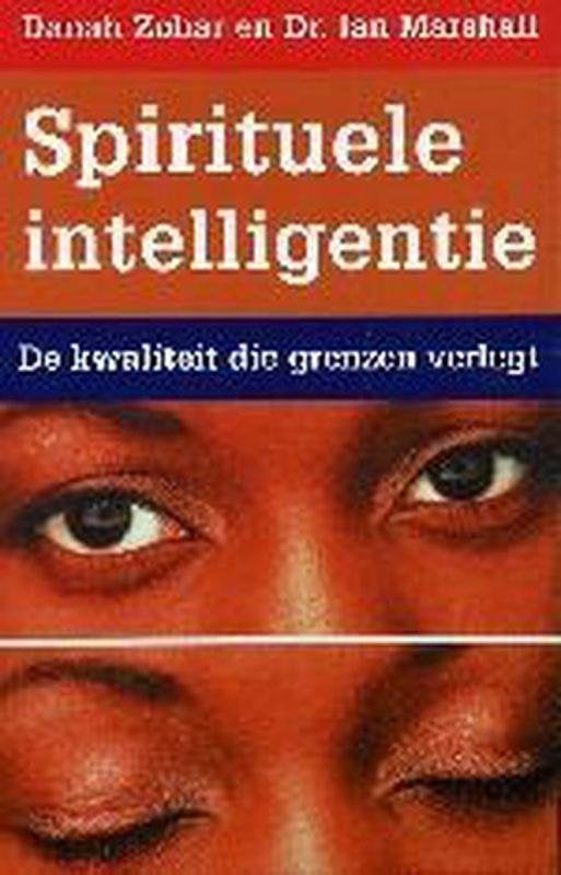 Danah Zohar Spirituele Intelligentie, Ophalen of Verzenden, Zo goed als nieuw, Spiritualiteit algemeen, Overige typen