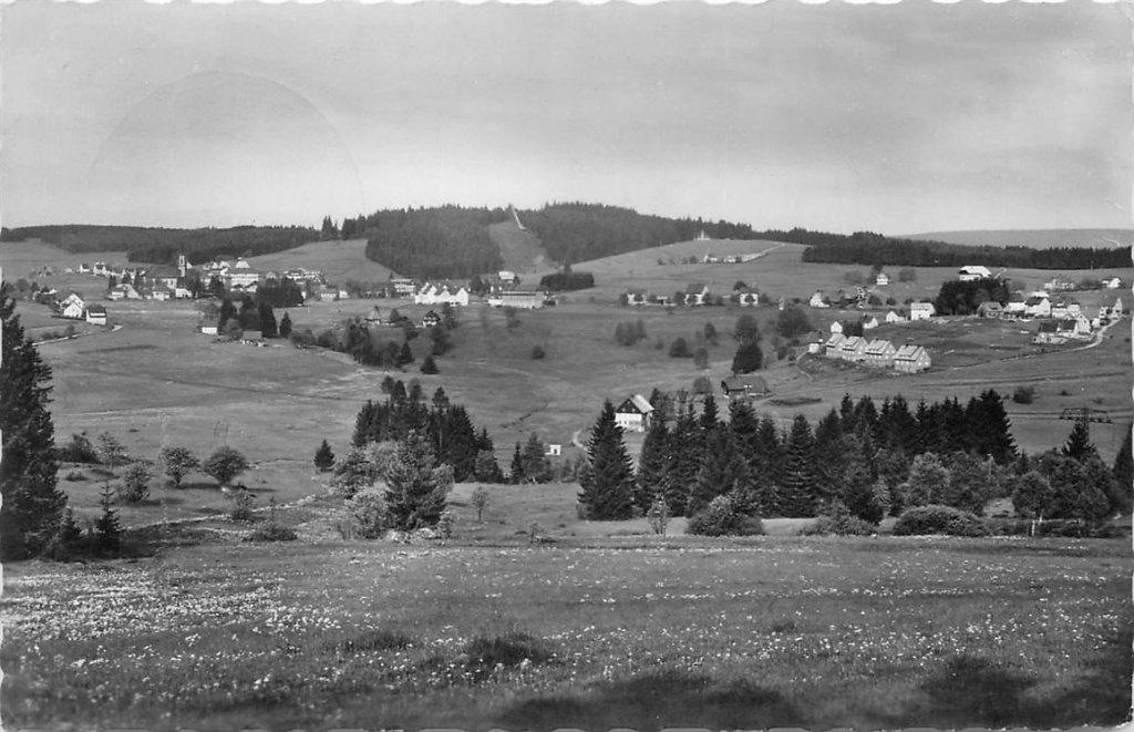 701-417-057 Schonwald Schwarzwald, Verzenden, Voor 1920, Duitsland