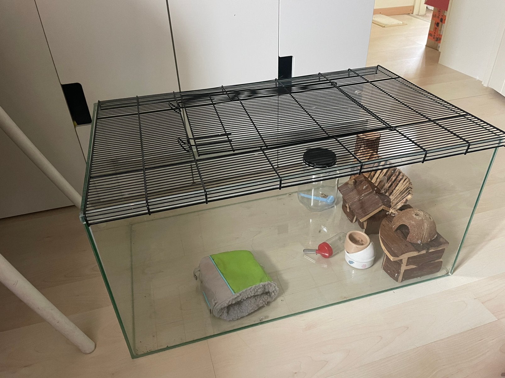 Glazen terrarium, Ophalen, Gebruikt