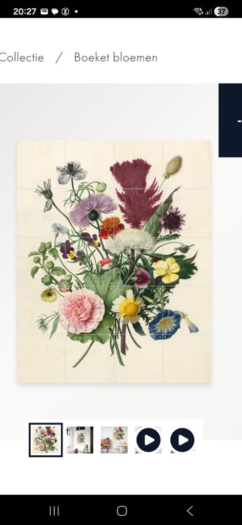 Ixxi boeket bloemen Rijksmuseum 200 x 160 cm, Gebruikt, Papier/karton, Klassiek, Ophalen of Verzenden