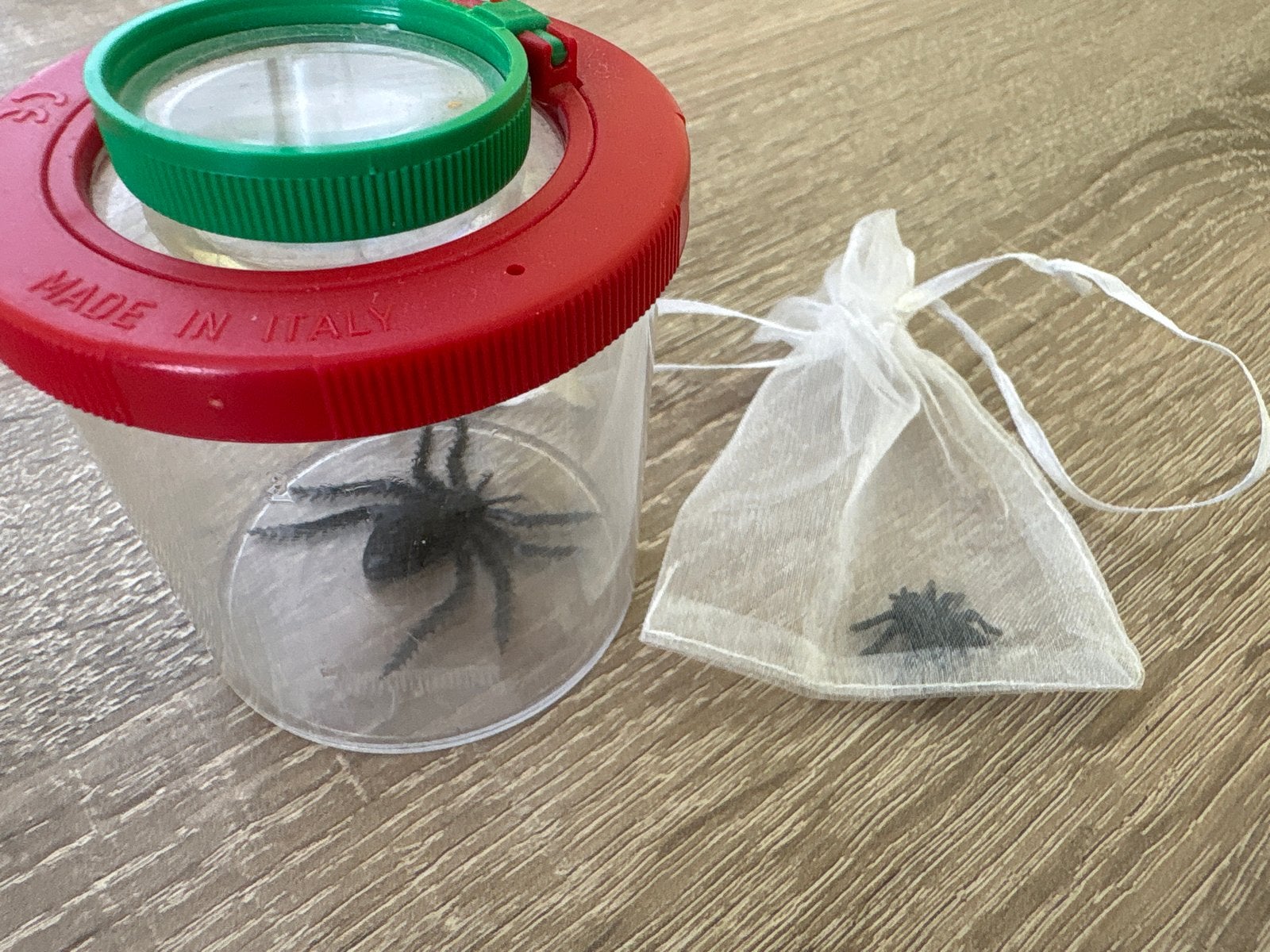 Insectenpotje met vergrootglas en spinnen, Gebruikt, Dieren, Meerkleurig, Ophalen of Verzenden