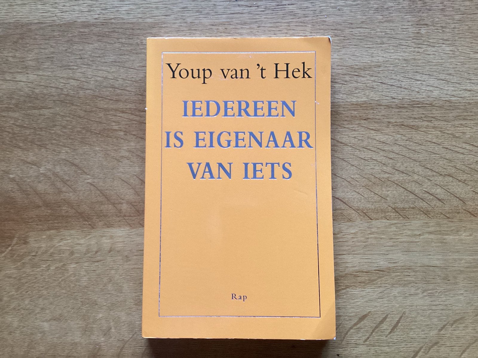 Youp van 't Hek - Iedereen is eigenaar van iets, Ophalen of Verzenden, Zo goed als nieuw, Youp van 't Hek