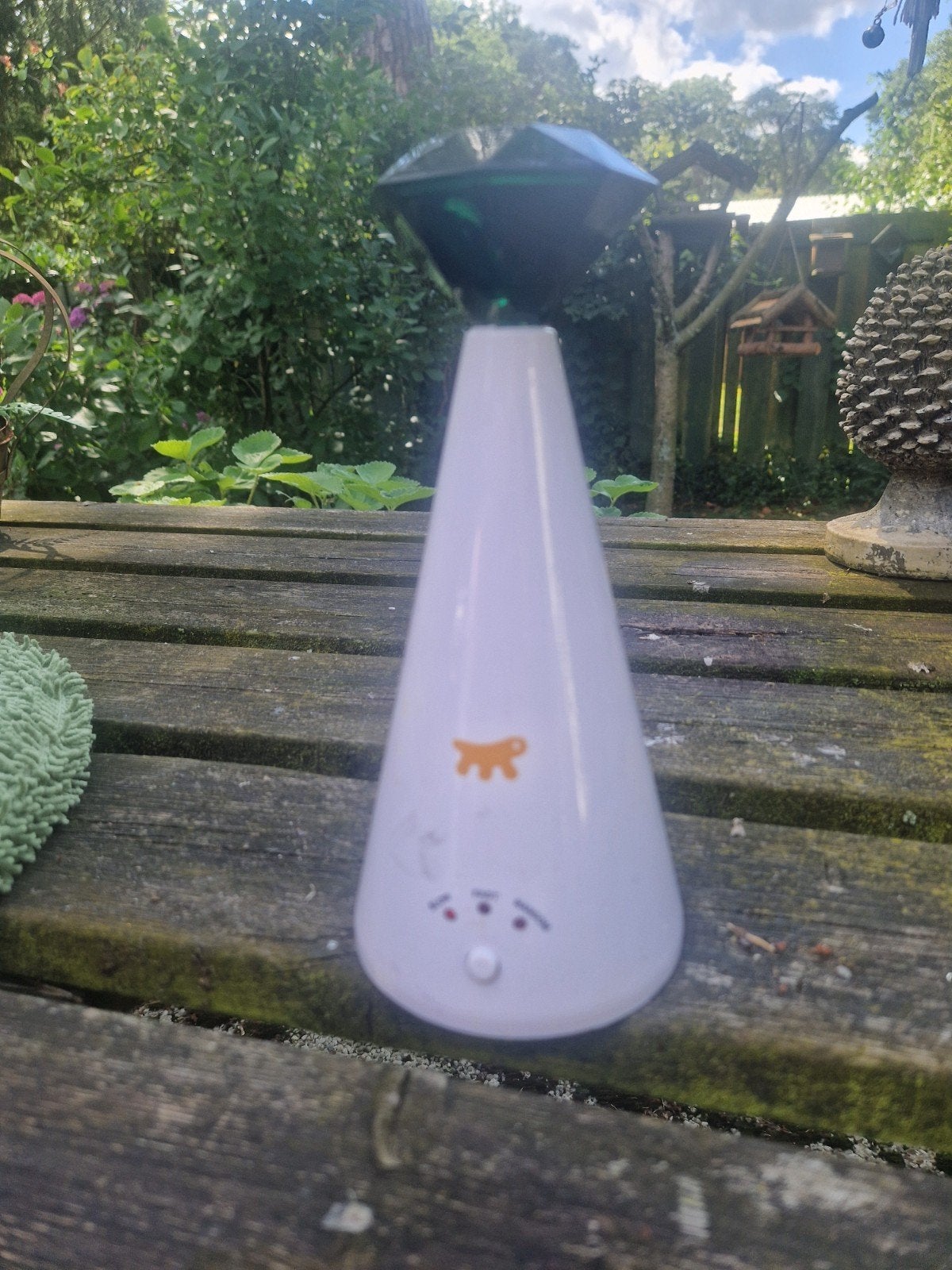 Nieuw voor de kat, Dieren en Toebehoren, Ophalen, Nieuw
