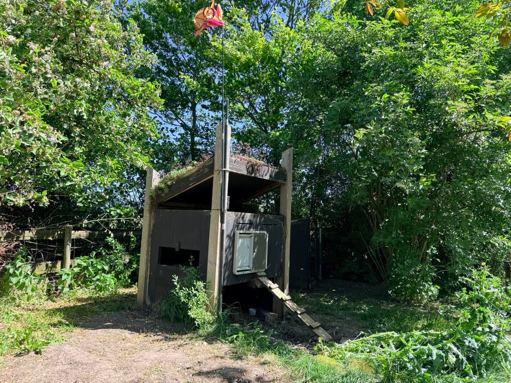 Degelijk houten kippenhok – sedumdak – omlet deur – met ren, Ophalen, Gebruikt, Kippenhok of Kippenren