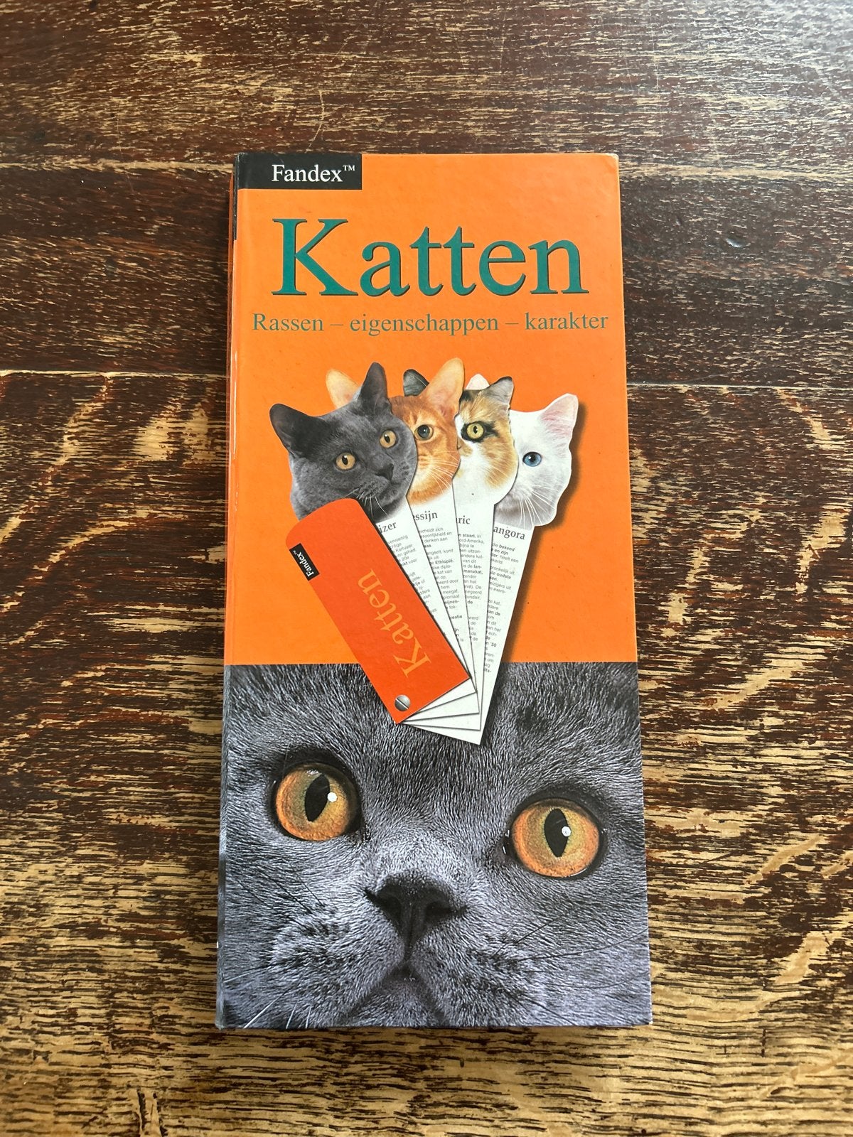 Fandex Katten: Rassen, Eigenschappen, Karakter, Boeken, Ophalen of Verzenden, Gelezen, Katten