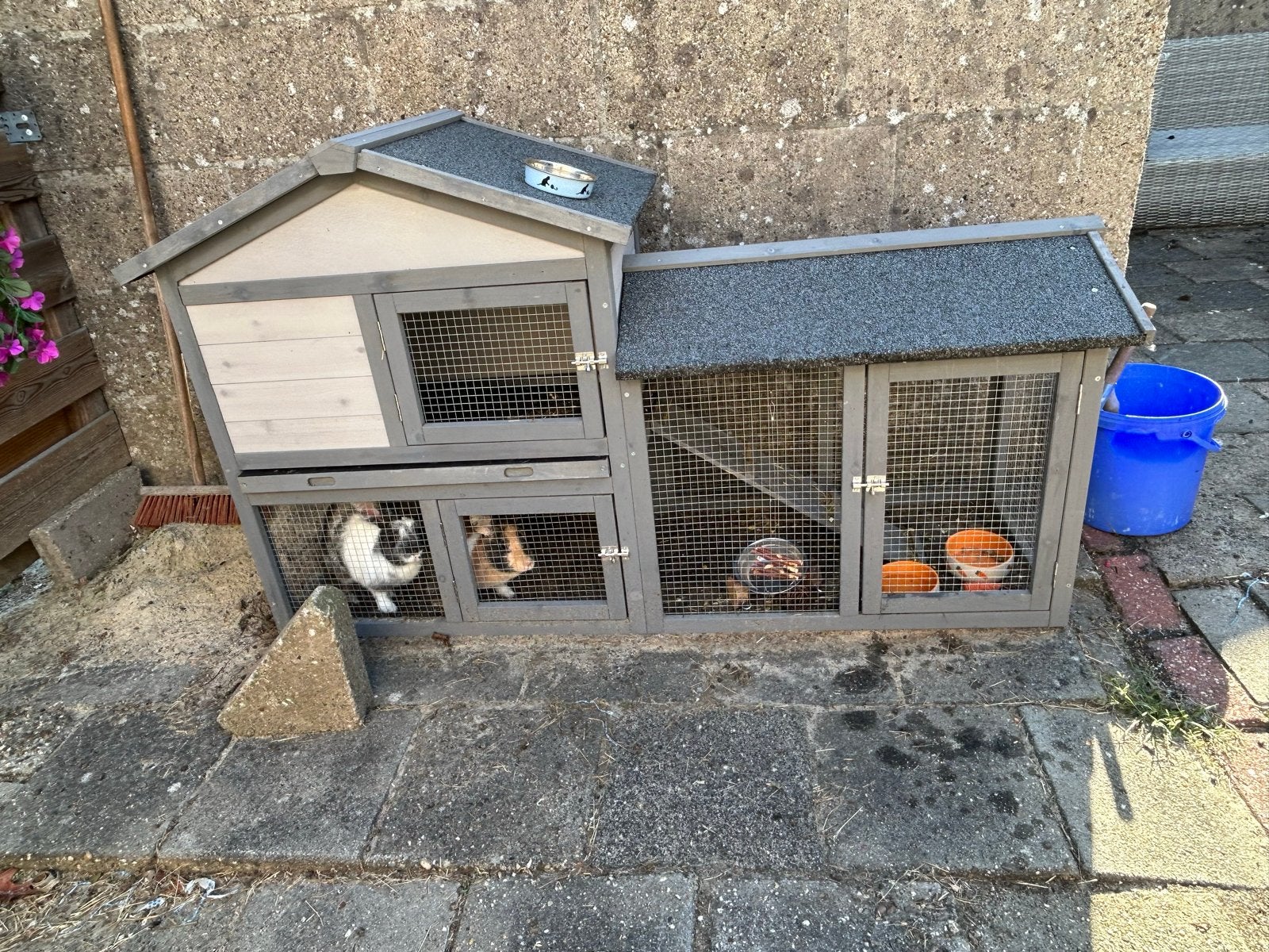 Twee konijntjes te koop met hok en benodigdheden, Dieren en Toebehoren, Ophalen of Verzenden, Overige typen