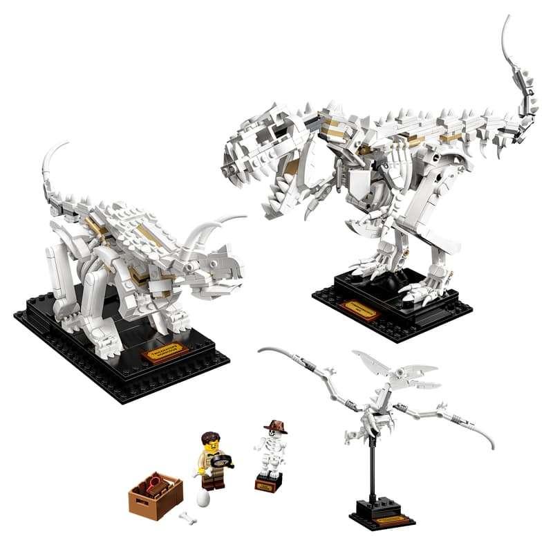 Lego Ideas Dinosaurusfossielen, Gebruikt, Lego, Ophalen of Verzenden, Ideas