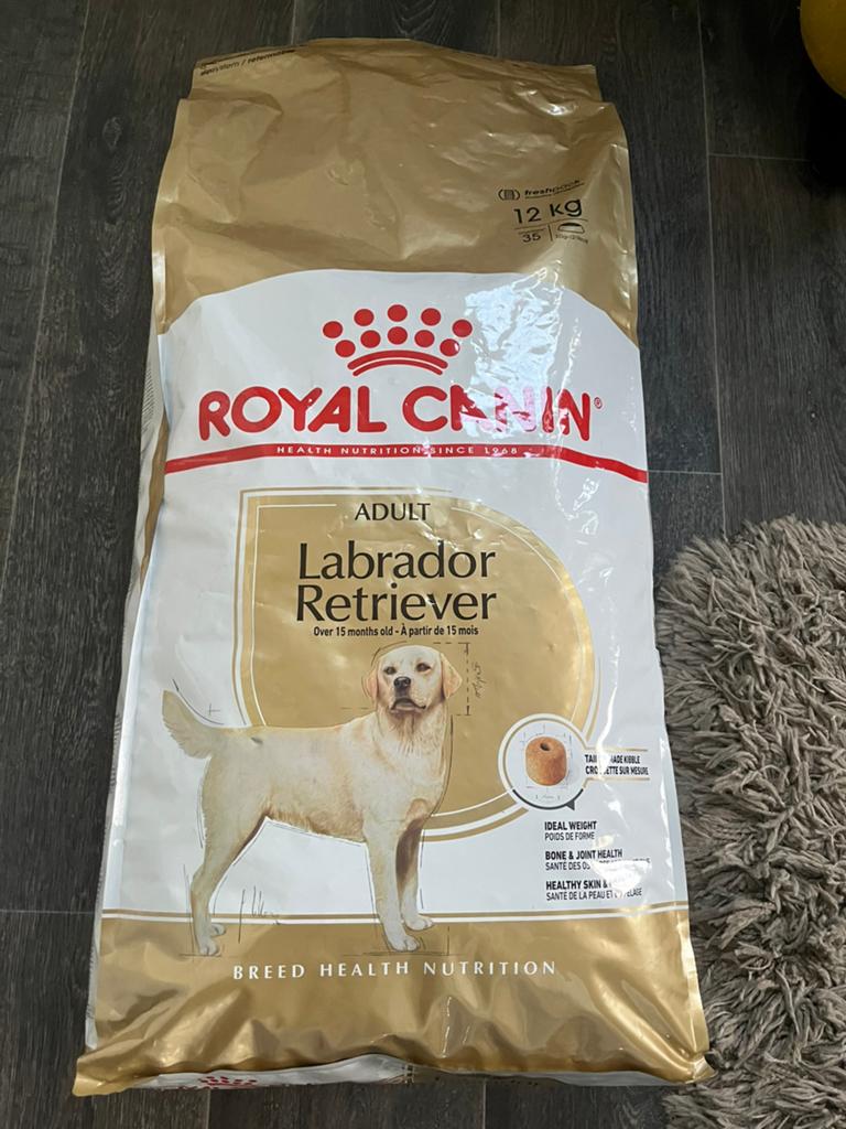 Royal canin labrador retriever adult 12 kilo nieuw!, Ophalen of Verzenden, Hond