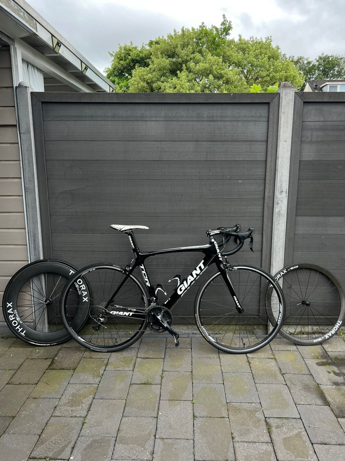 Giant TCR Composite + Carbon Wielen | Maat M/L | Rijklaar, Ophalen, 28 inch, Gebruikt, Carbon