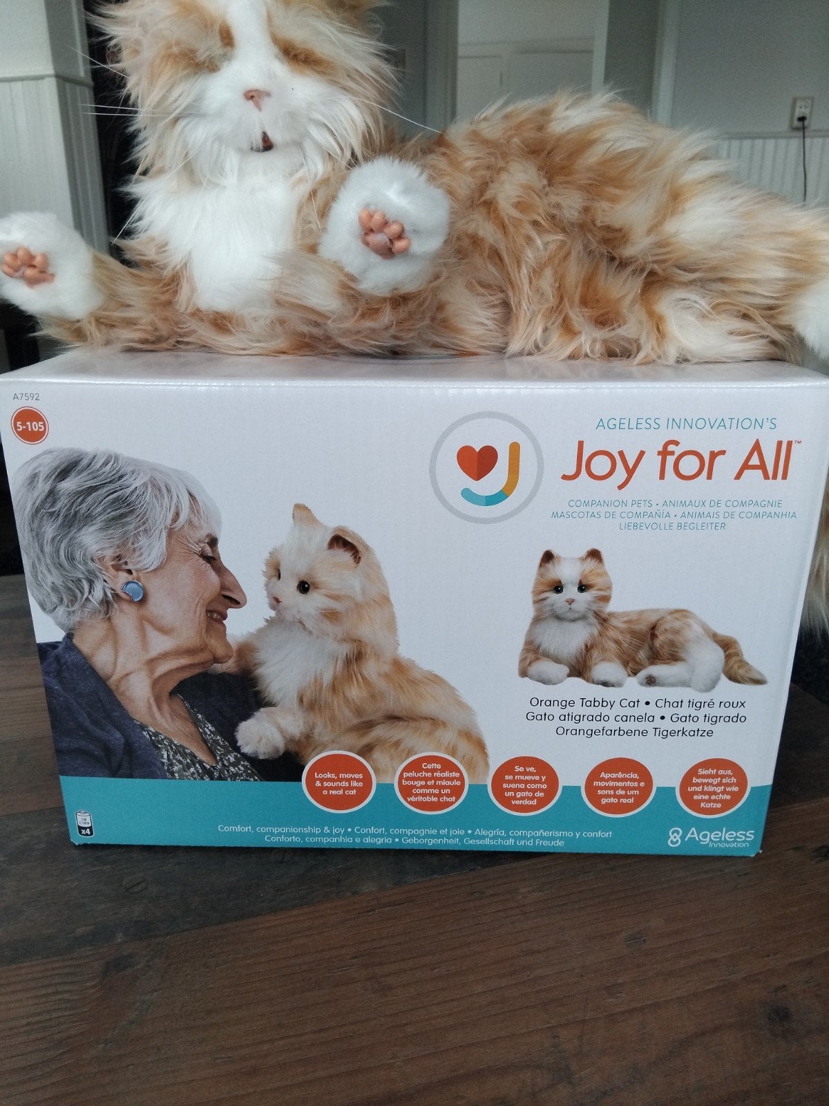Dementie kat, Ophalen of Verzenden