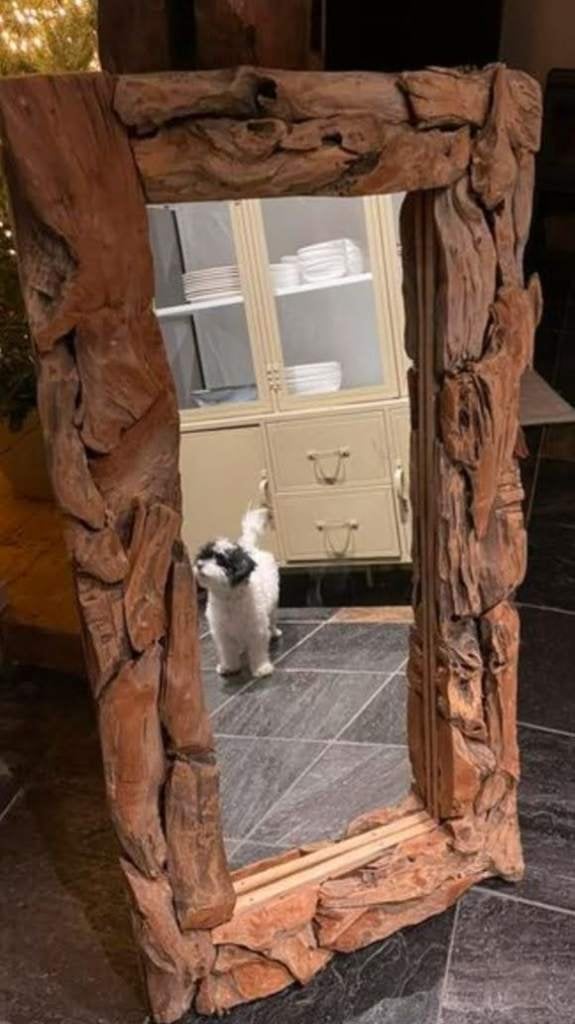 robuuste spiegel grof oud teak, Huis en Inrichting, Ophalen, 100 tot 150 cm, Zo goed als nieuw, Rechthoekig