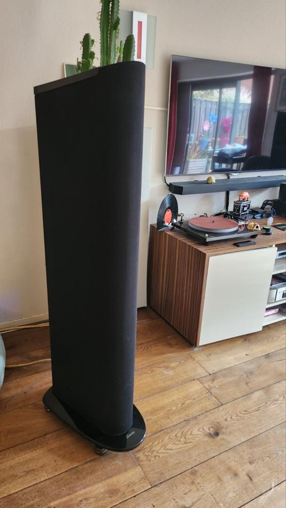 GoldenEar Triton One Vloerstaande Luidspreker, Overige merken, Ophalen of Verzenden, Zo goed als nieuw, 120 watt of meer