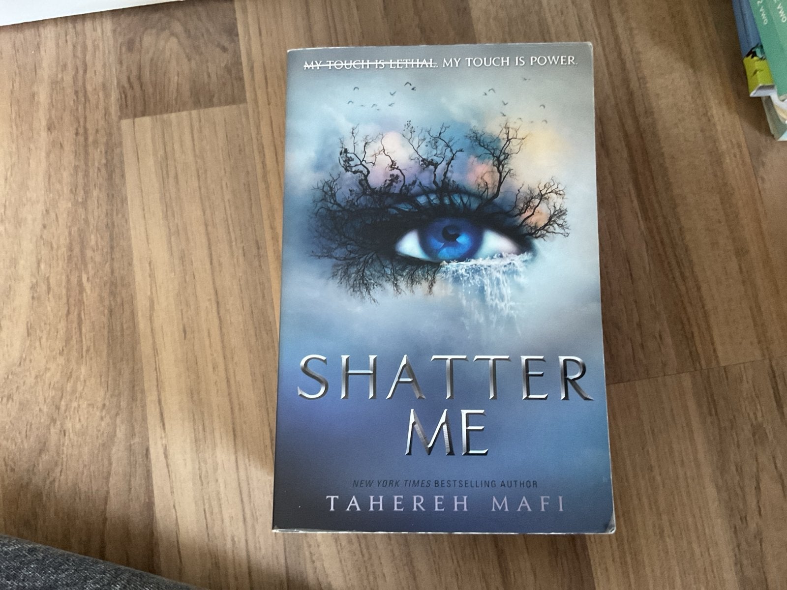 Shatter Me - Tahereh Mafi - Young Adult Roman, Ophalen, Zo goed als nieuw, Wereld overig