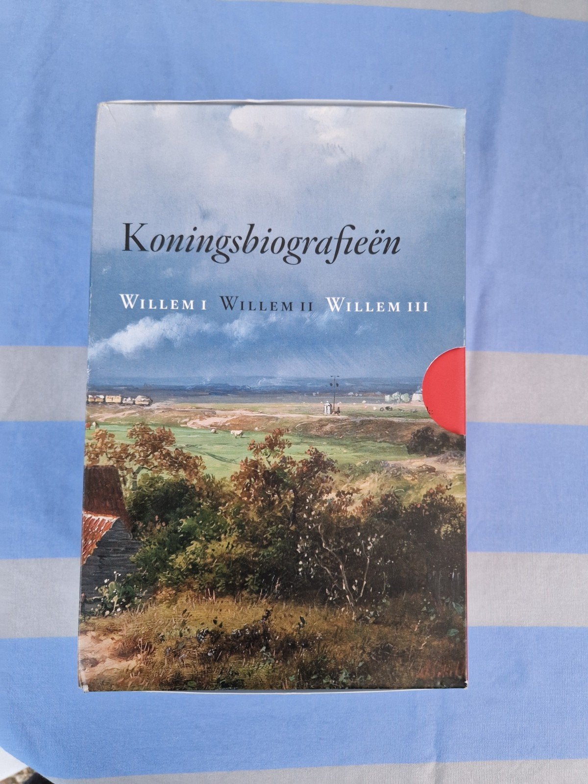 Koningsbiografieën: Willem I, Willem II, Willem III, Ophalen of Verzenden, Jeroen koch, Politiek, Zo goed als nieuw
