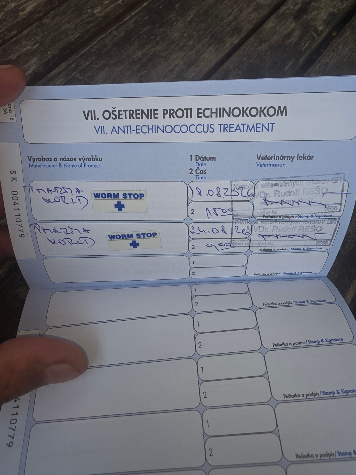 shih szu, 8 tot 15 weken, Eén hond, Nederland, Particulier