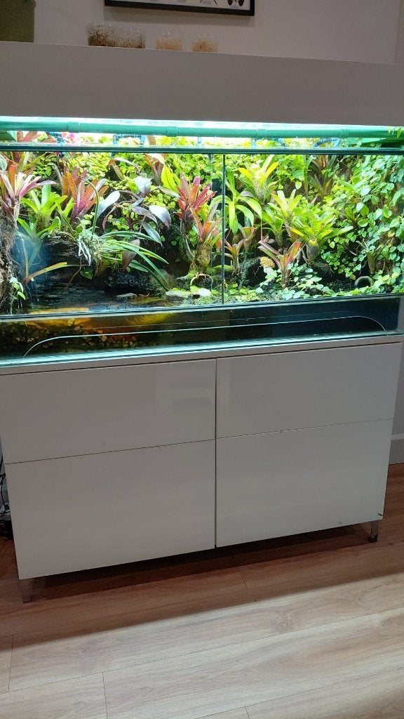paludarium BOMVOL, Ophalen, Gebruikt, Terrarium of Paludarium