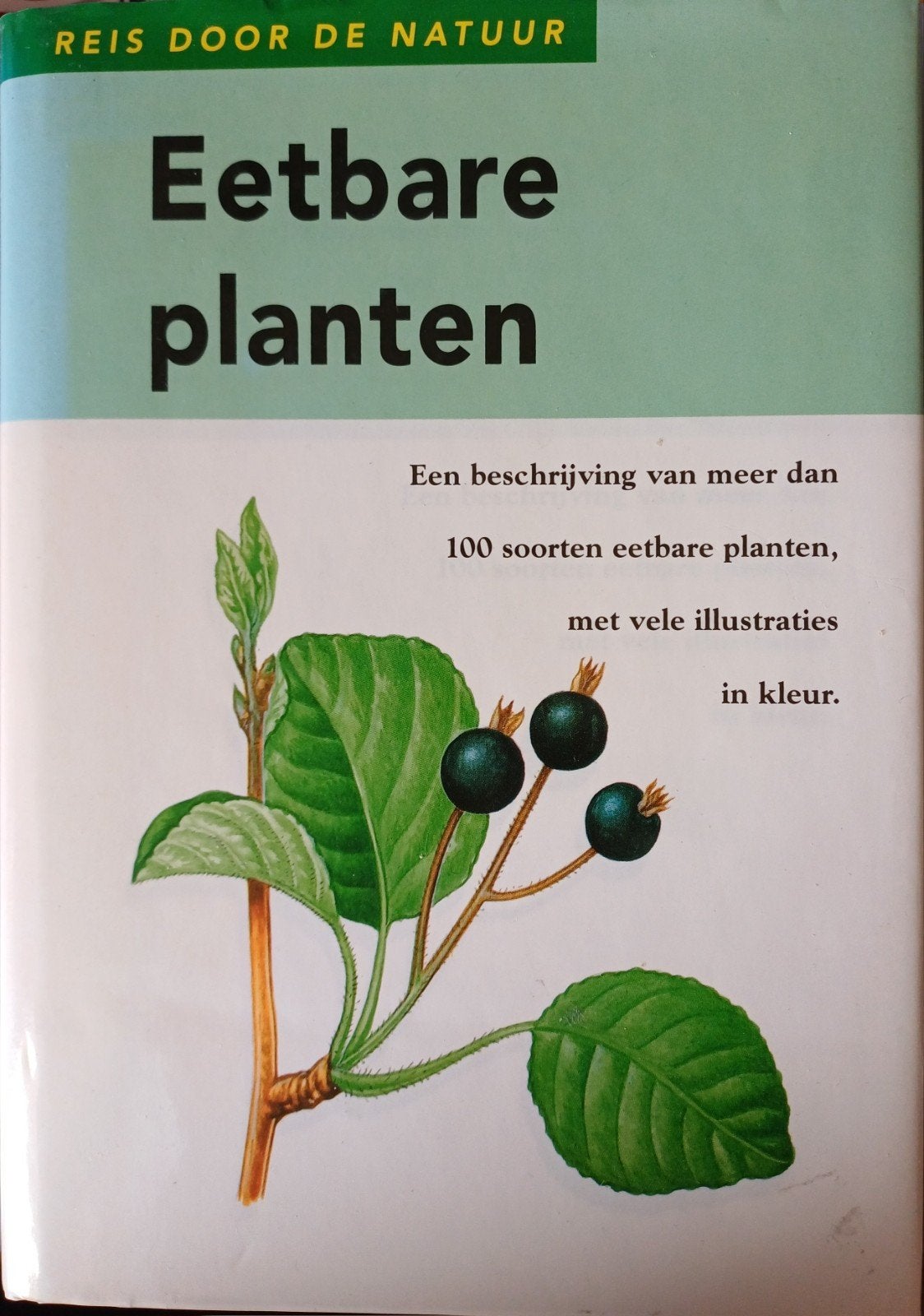 Reis door de Natuur: Eetbare Planten - Gids met illustraties, Boeken, Bloemen, Planten en Bomen, Dagmar Lánská, Ophalen of Verzenden