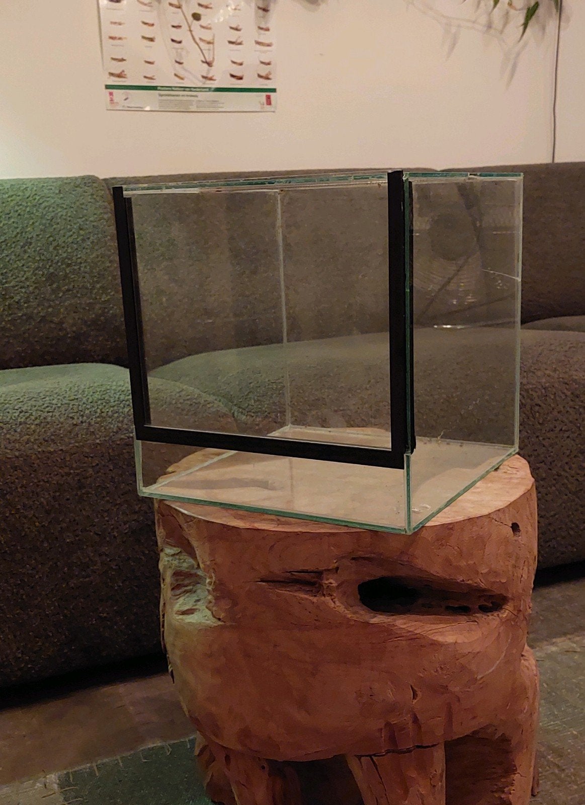 Terrarium 30x30x30, Ophalen, Gebruikt, Terrarium of Paludarium