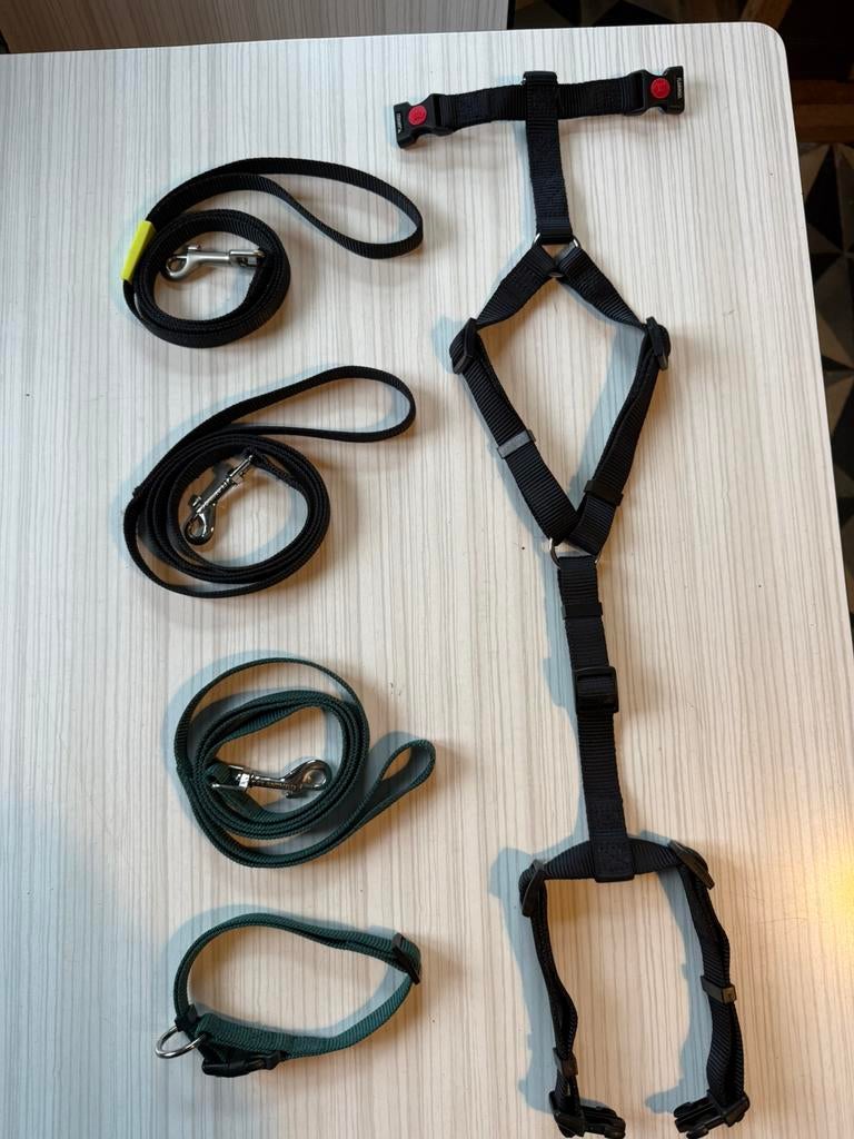Puppy toebehoren, tuigje, riem, riempjes maat S, Dieren en Toebehoren, Ophalen of Verzenden, Zo goed als nieuw