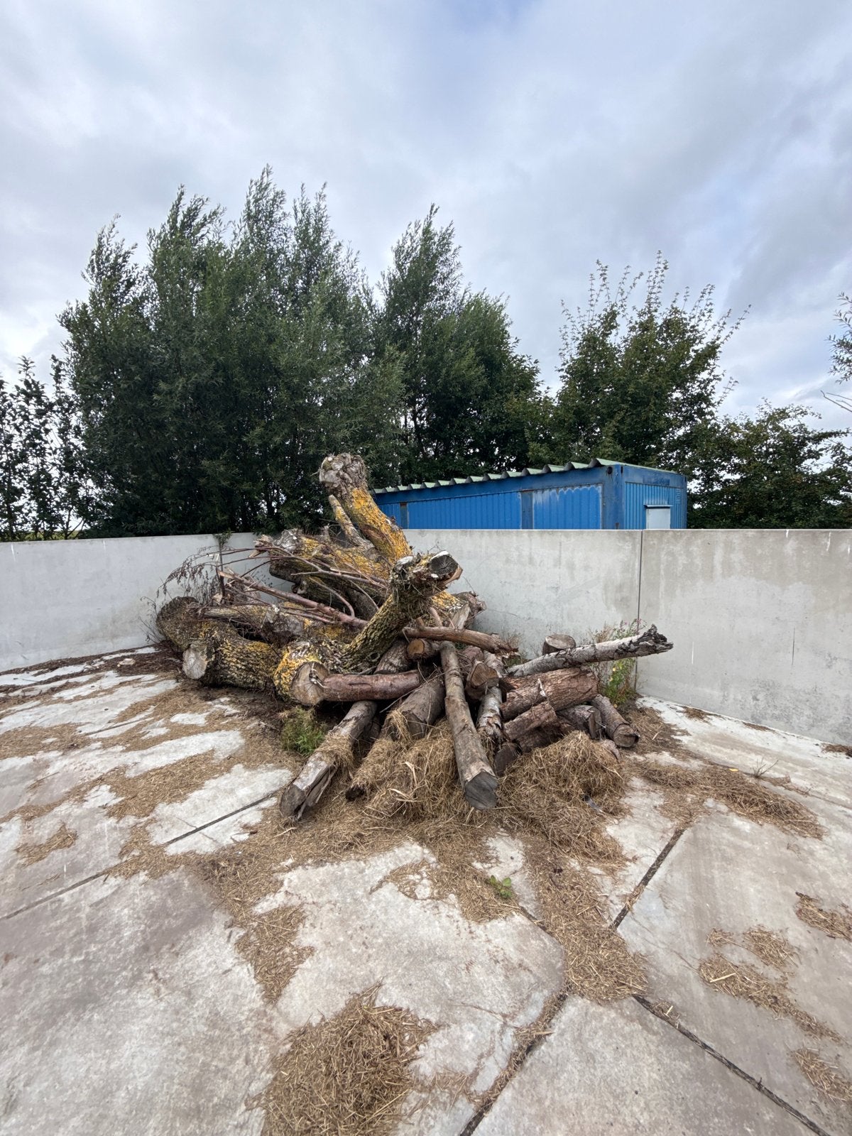Verschillend hout, ca. 6m³ - Laden mogelijk, 6 m³ of meer, Ophalen, Overige houtsoorten, Stammen
