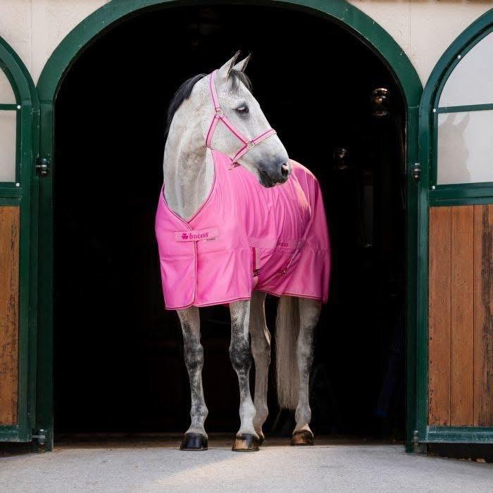Bucas zomerdeken roze 6’3, Dieren en Toebehoren, Katoen, Kruissingels, Nieuw, Ophalen of Verzenden